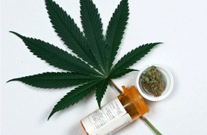 marijuana plant cancer