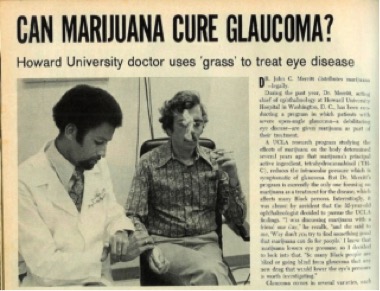marijuana plant glaucoma