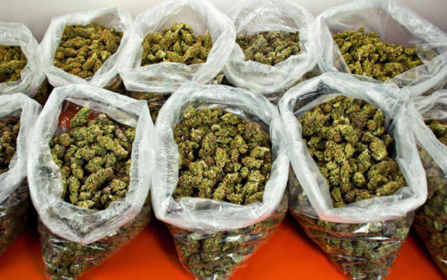 air india, pounds of cannabis