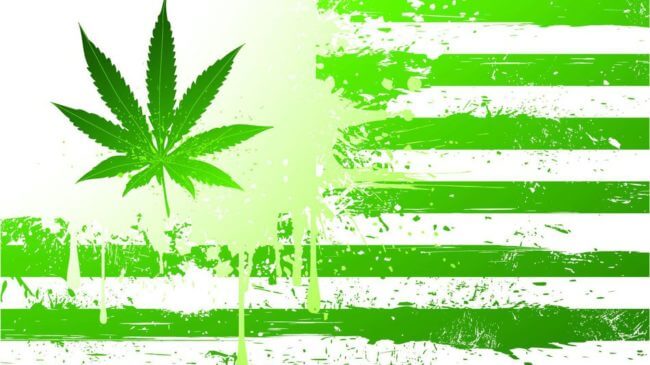 cory booker, marijuana justice act, legalize marijuana, marihuana, war on drugs