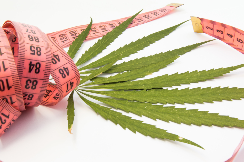 Lose Weight With Weed