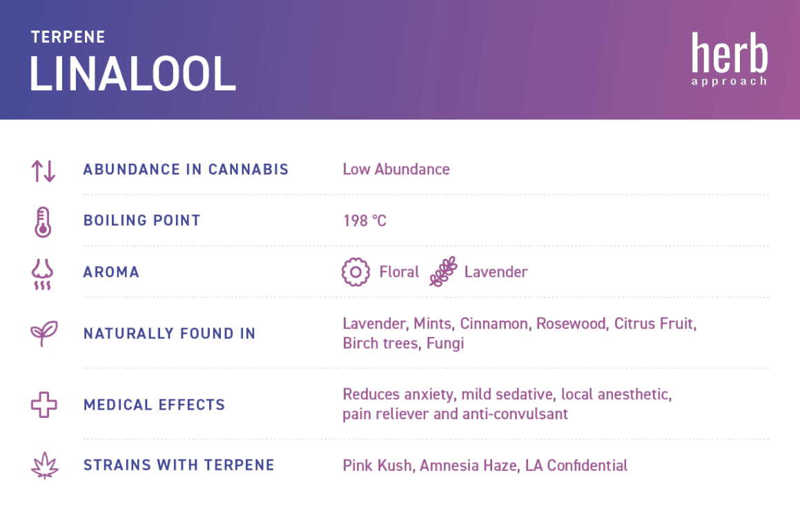what is linalool infographic