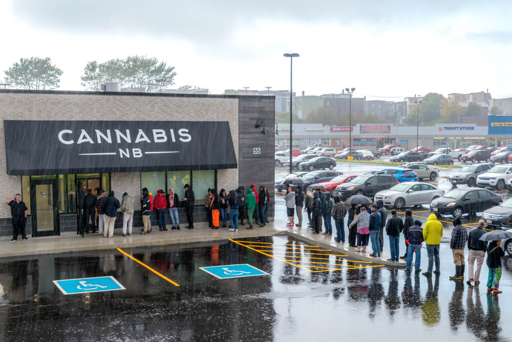government weed dispensary
