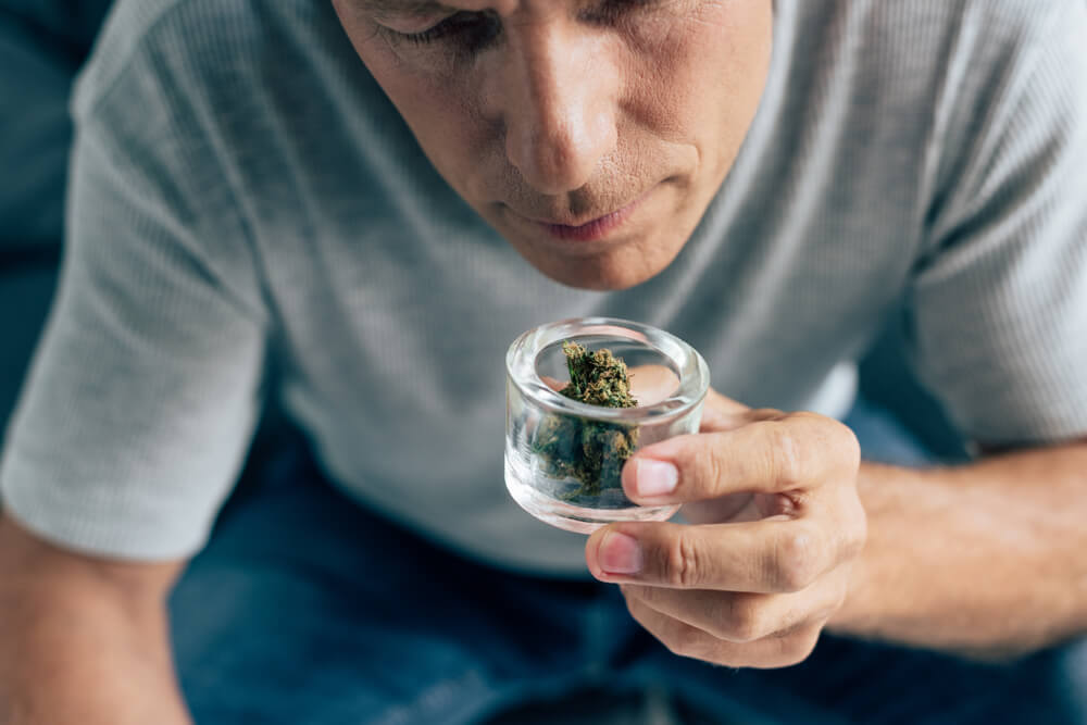 should you be a budtender